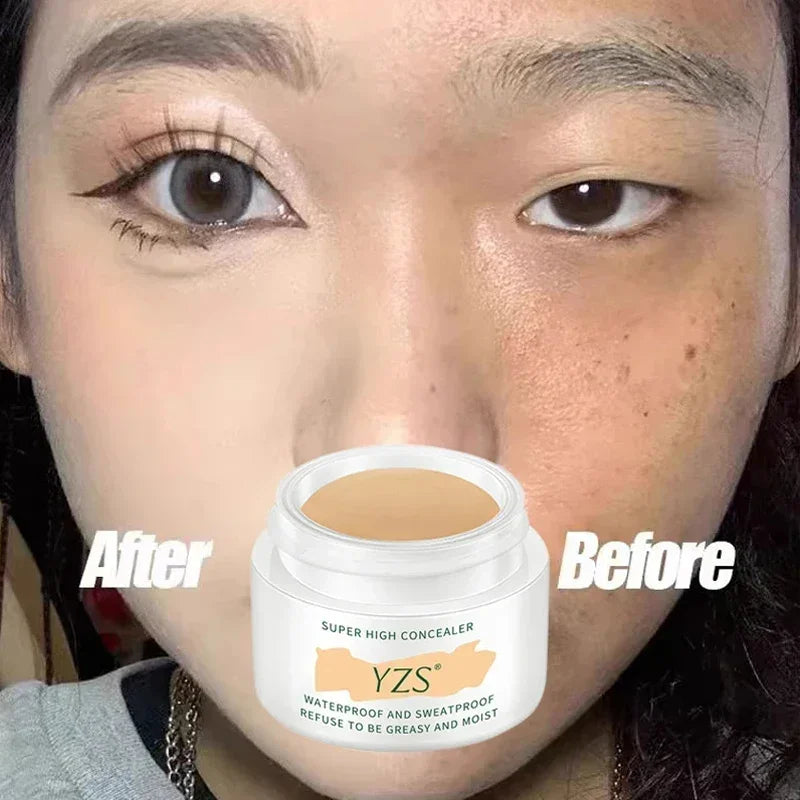 Waterproof and Long-lasting High Concealer that Perfectly Covers