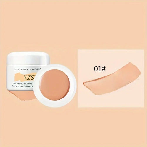 Waterproof and Long-lasting High Concealer that Perfectly Covers
