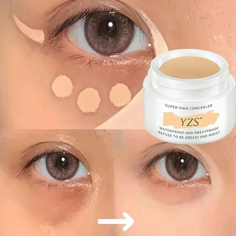 Waterproof and Long-lasting High Concealer that Perfectly Covers