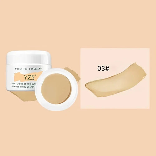 Waterproof and Long-lasting High Concealer that Perfectly Covers